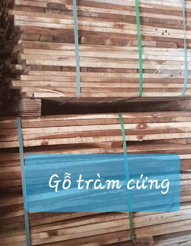 Gỗ tràm cứng xẻ