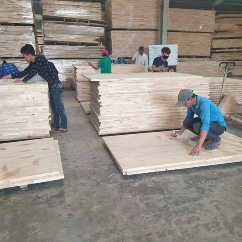 Kiểm tra ván ghép cao su tại xưởng