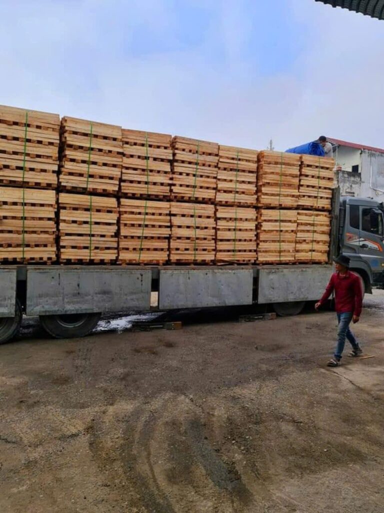 Xe tải giao gỗ cao su – Gỗ Thảo Nguyên